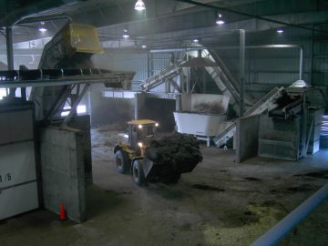 Palm Meadows Mechanical Treatment